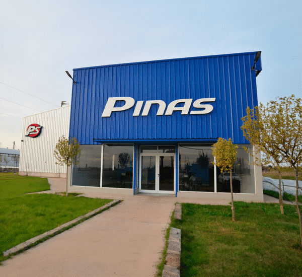 pinas-srl-1x1